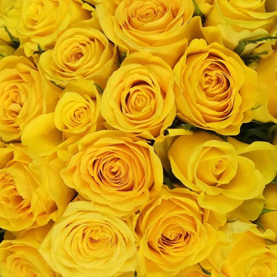 A Sunshine Bouquet