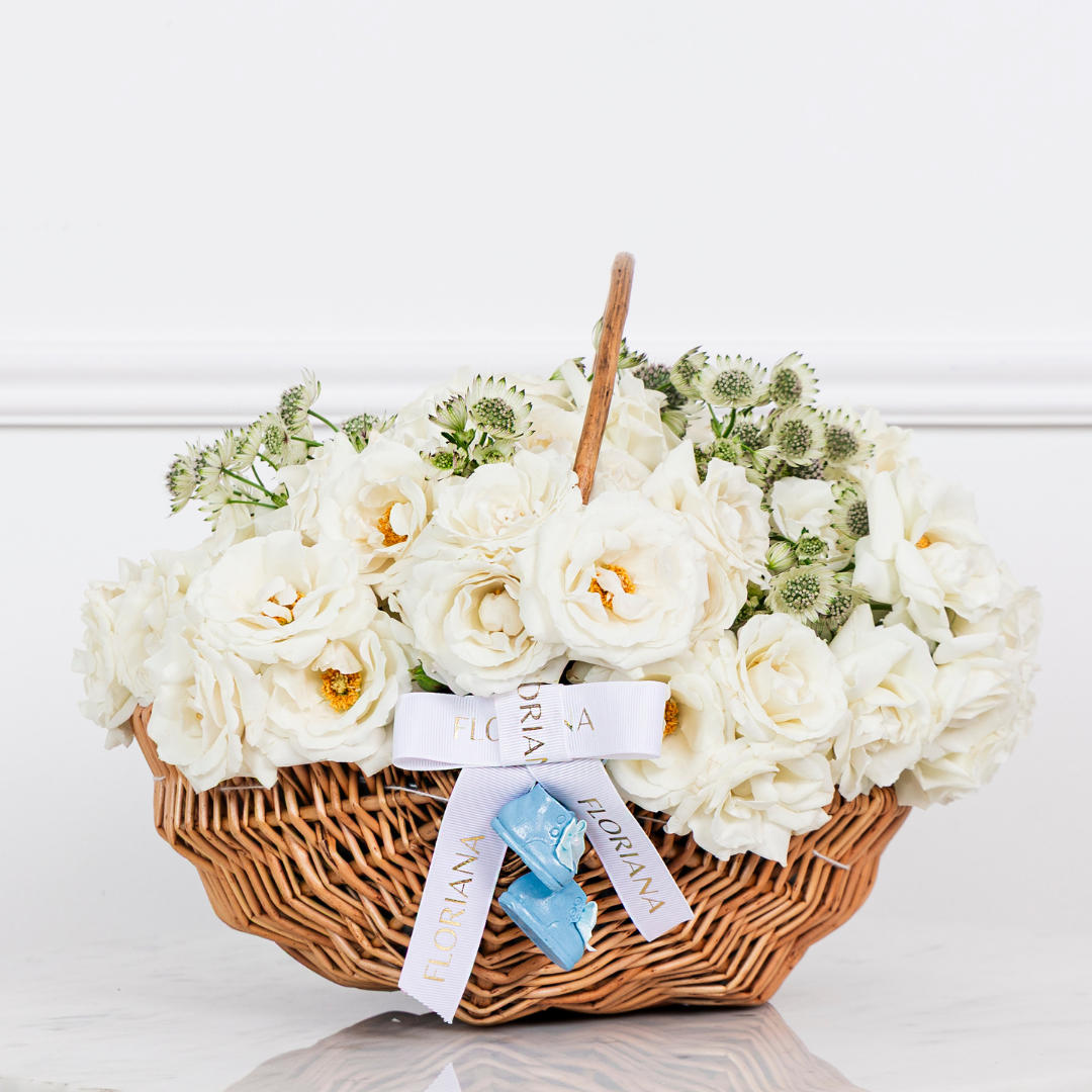 Little Prince's Bloom