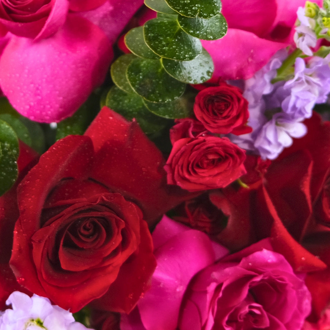 Love's Harmony