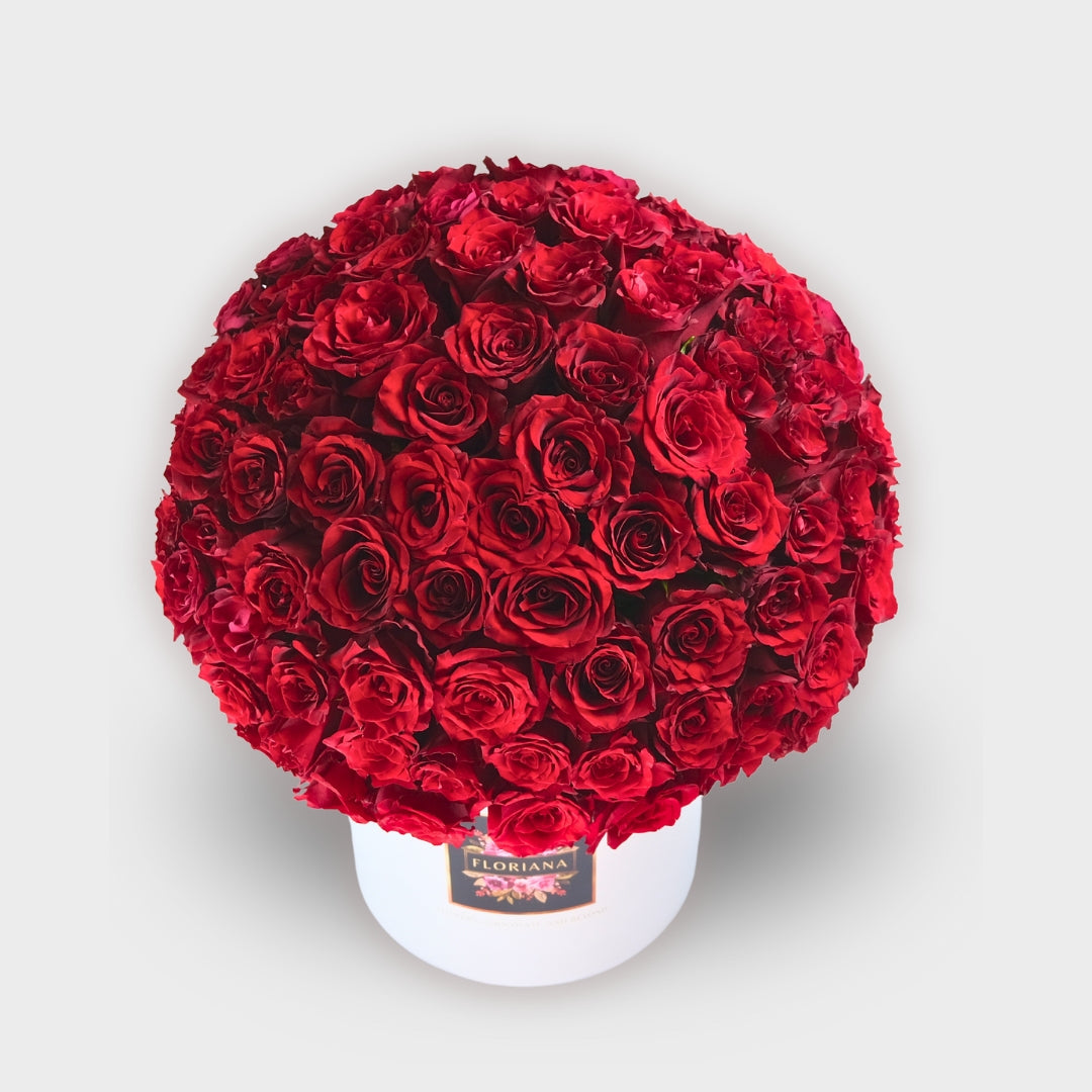 Red Velvet Romance: 101 Roses