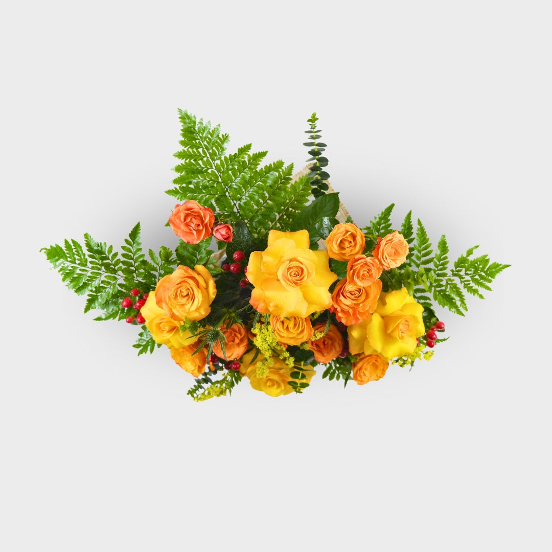 A Burst of Sunshine
