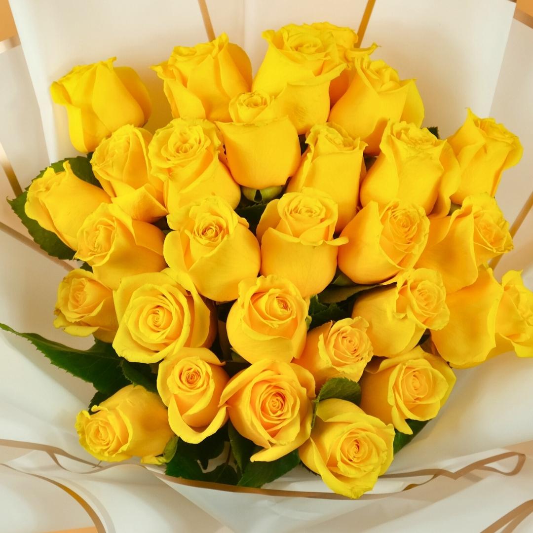 Sunshine in Bloom