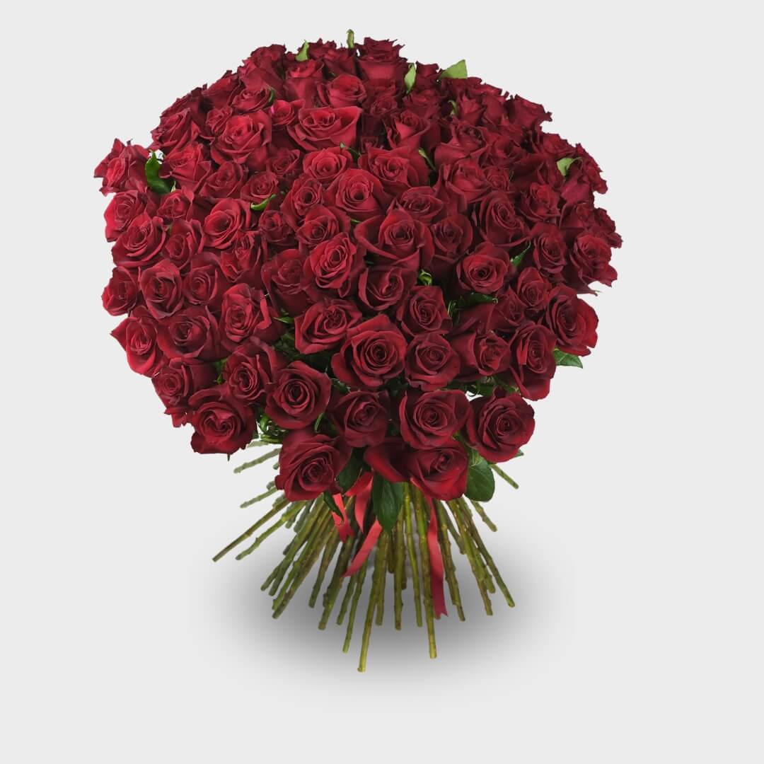 An opulent bouquet of 101 long-stemmed Ecuadorian red roses, tied with a satin ribbon, presenting a luxurious and voluminous arrangement against a white background.