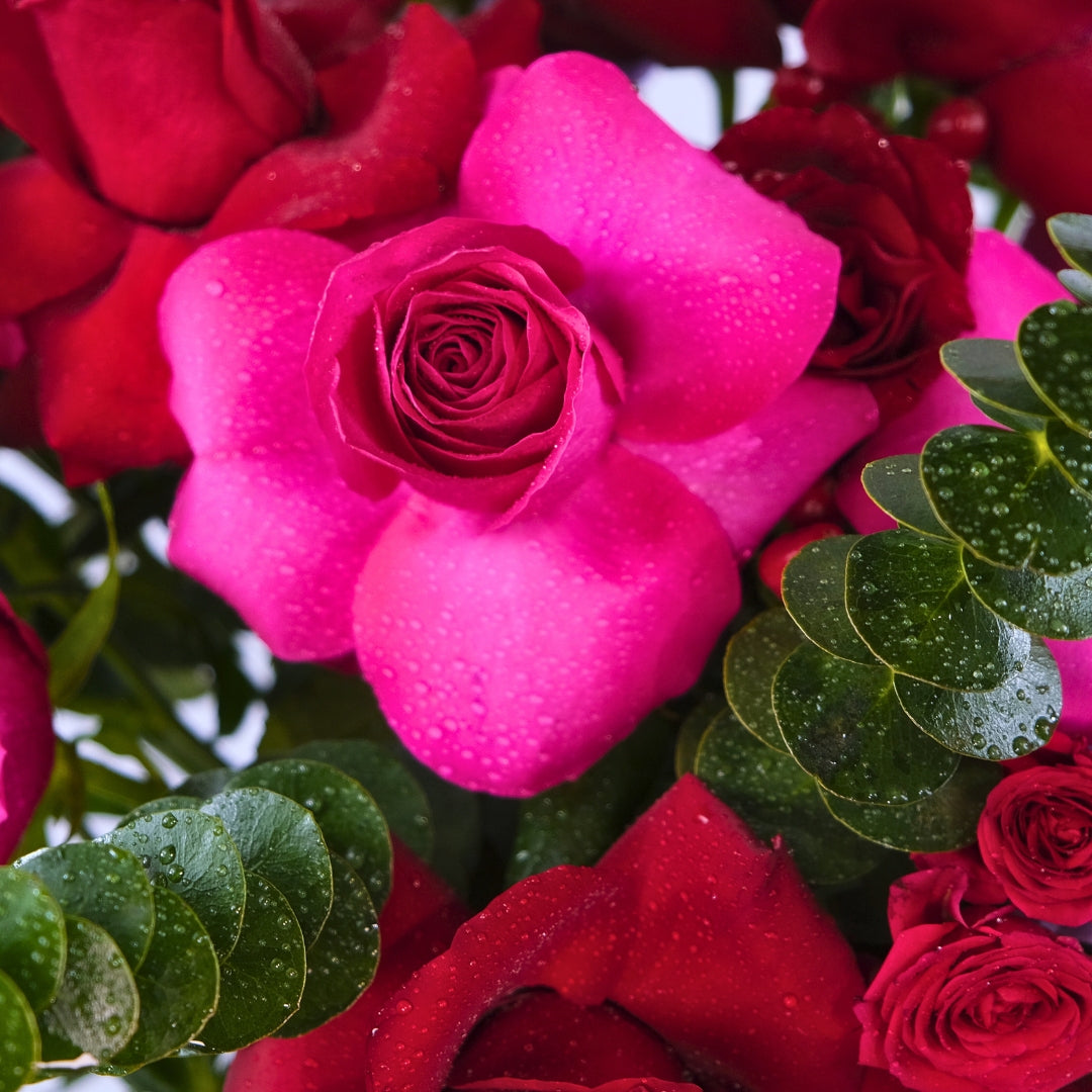 Love's Harmony