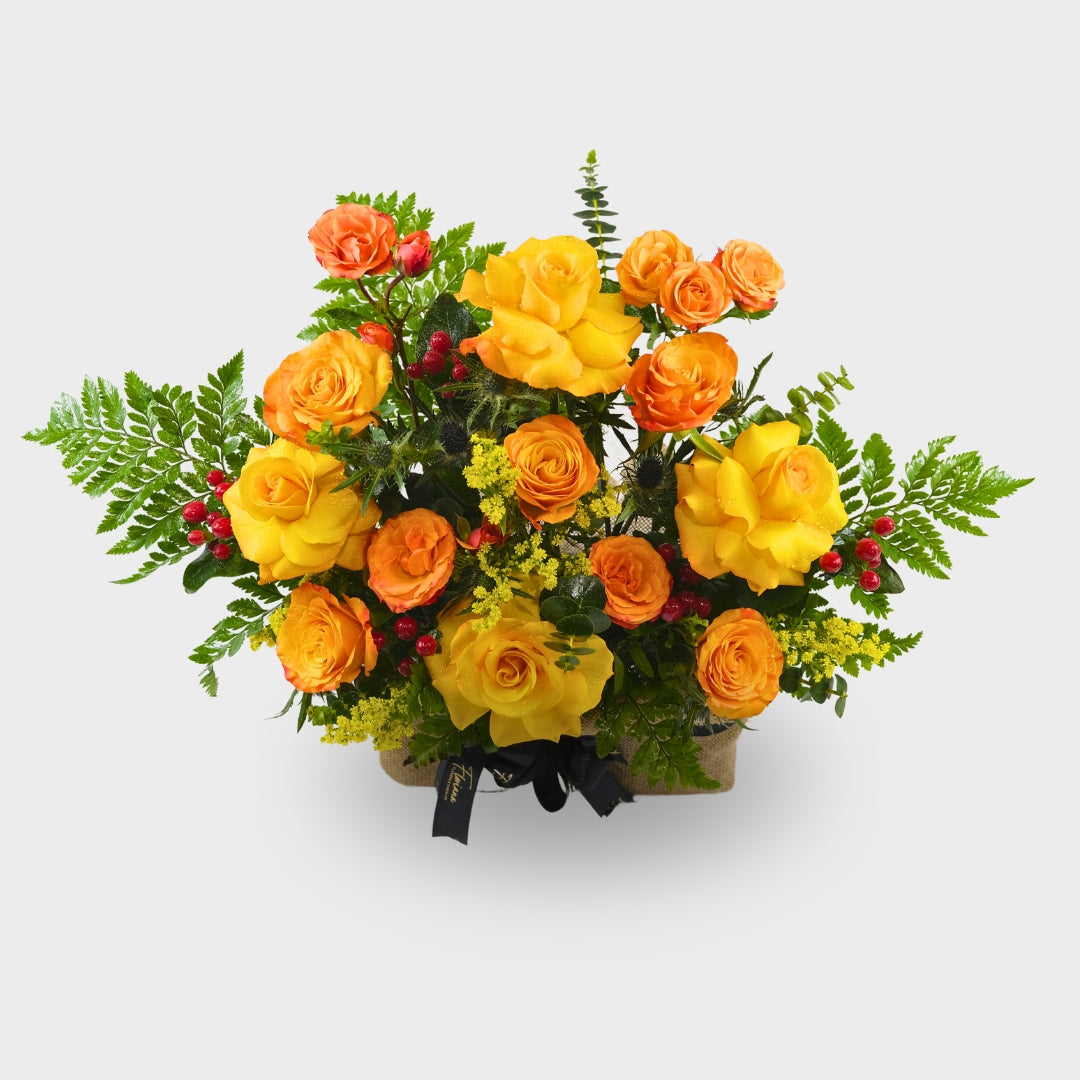A Burst of Sunshine