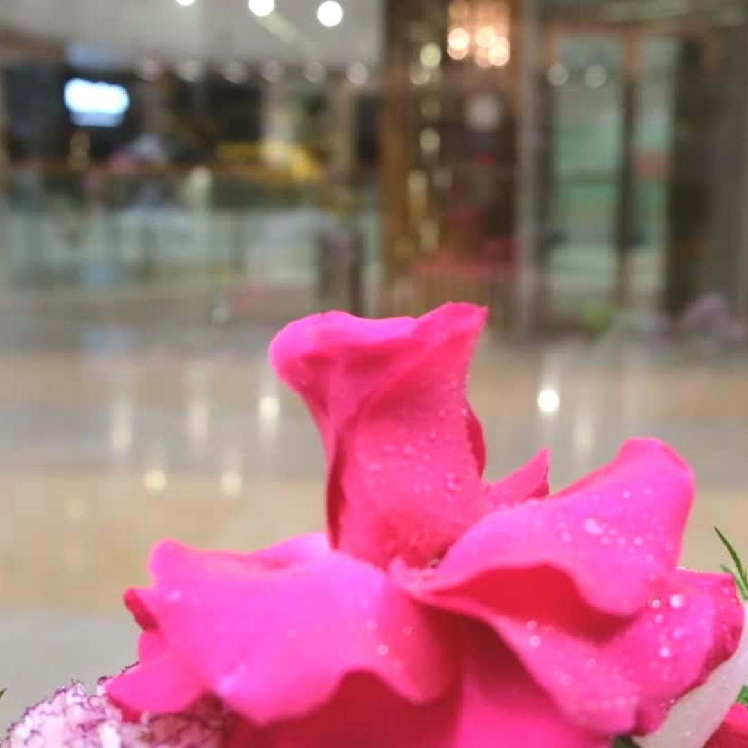 La Rose
