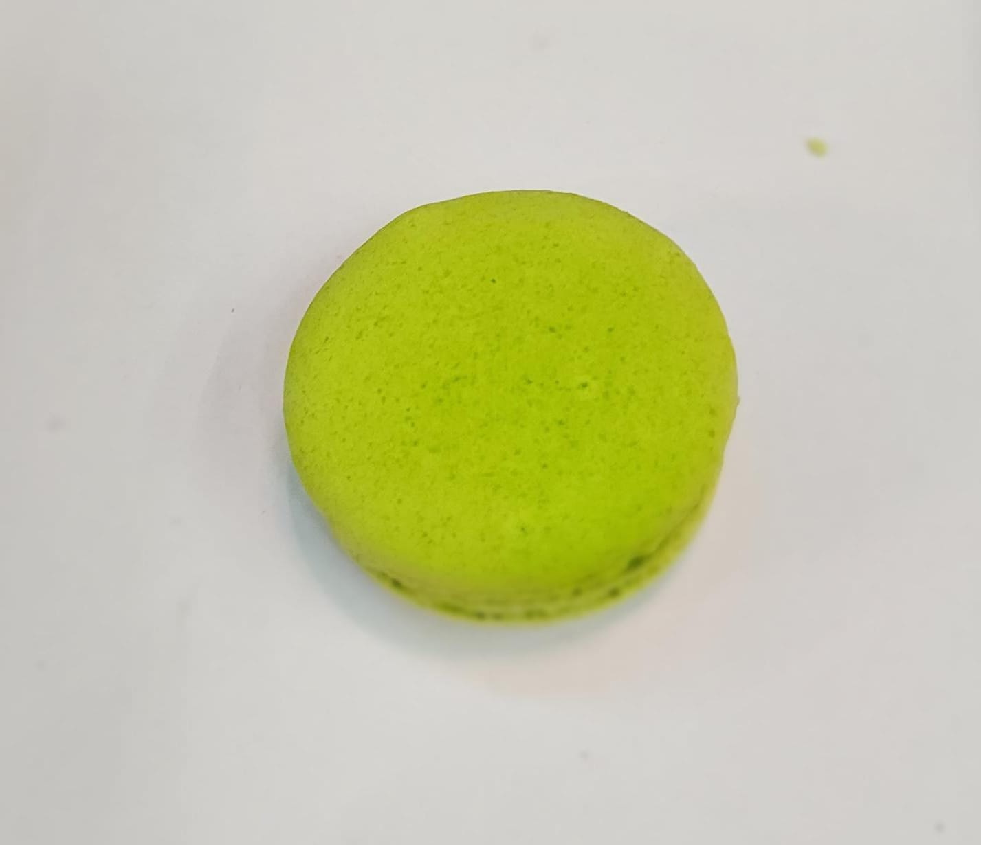 Macaroon Pistachio