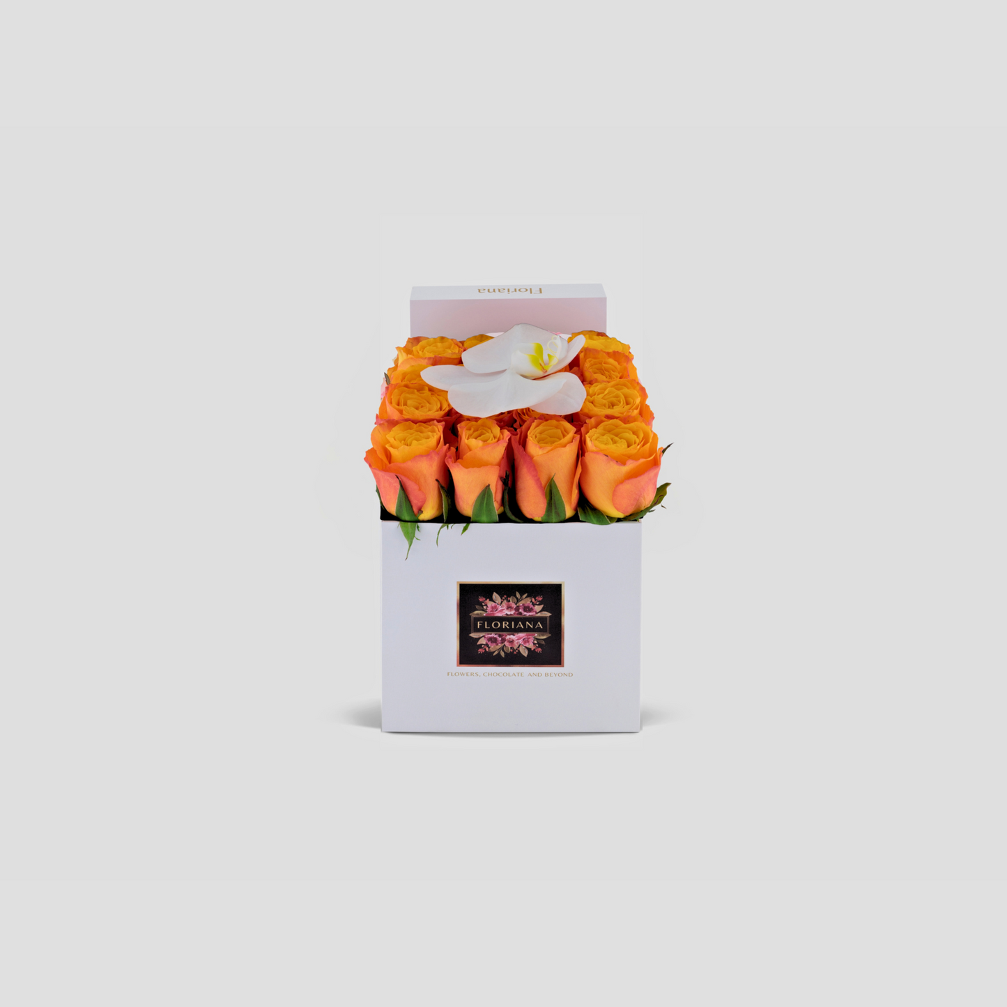 Orange Rose Box Big