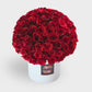 101  Roses of Love