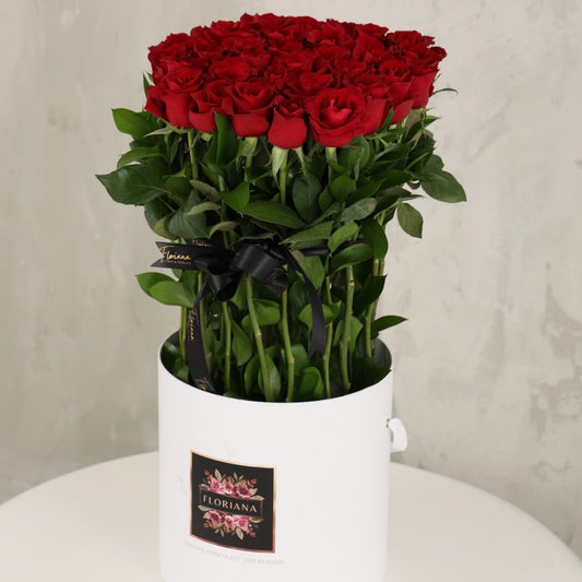 Vermilion Virtue Cylinder