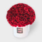 101  Roses of Love