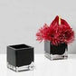 Glass Vase Cube Black 10*10