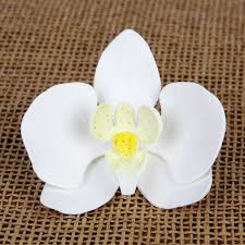 Phalaenopsis Cut Flower White