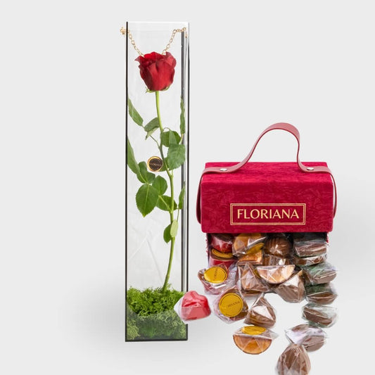 One red rose in a clear case with a red velvet Floriana box of small red chocolates.